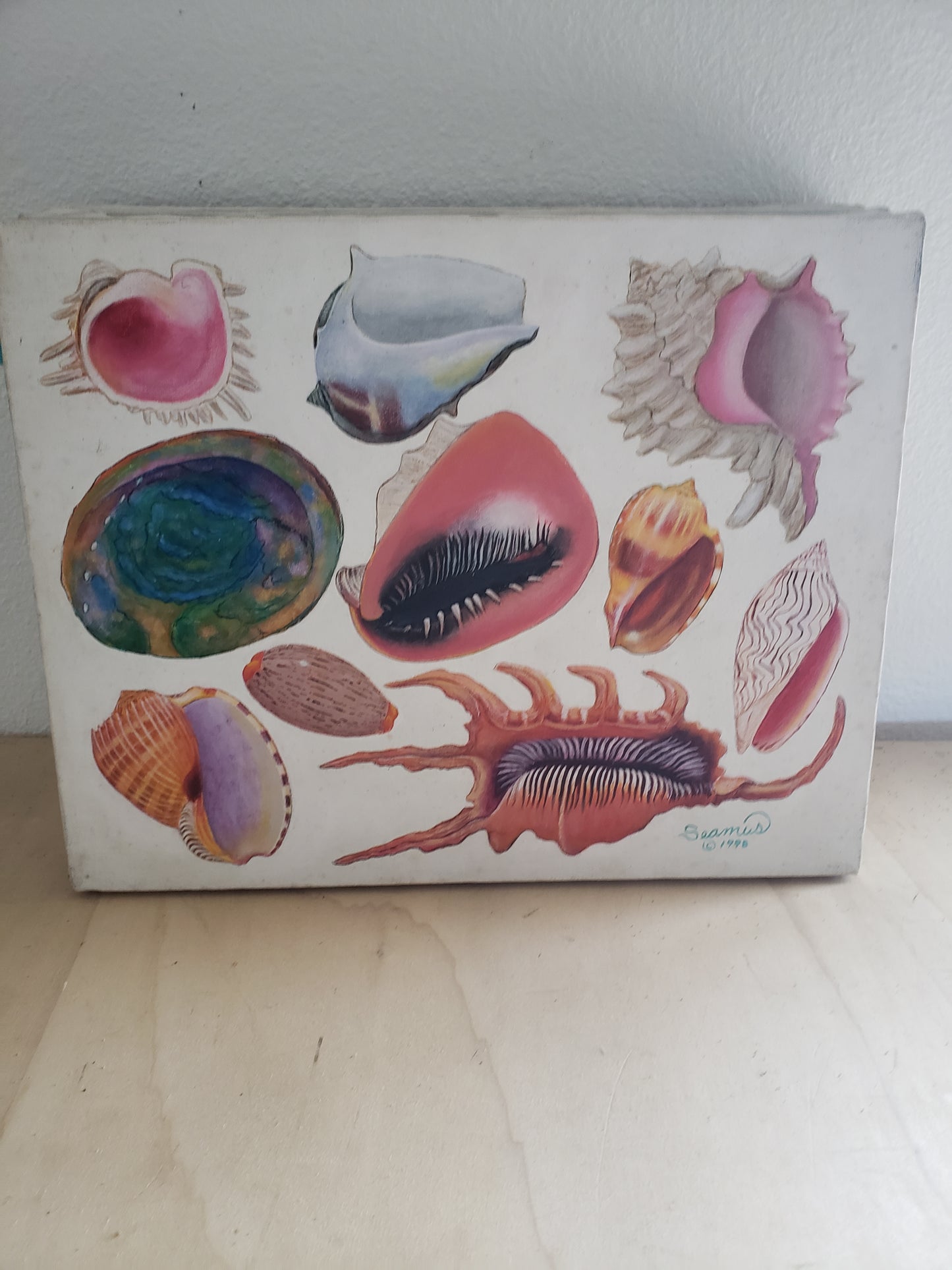 Shell-icious