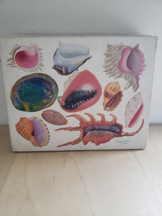 Shell-icious